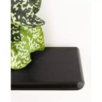 Kate & Laurel All Things Decor 18"x6"x30" Ramos Scaffale d'Accento Legno/Metallo Nero: Contenitore Moderno Galleggiante, Design a 3 Ripiani